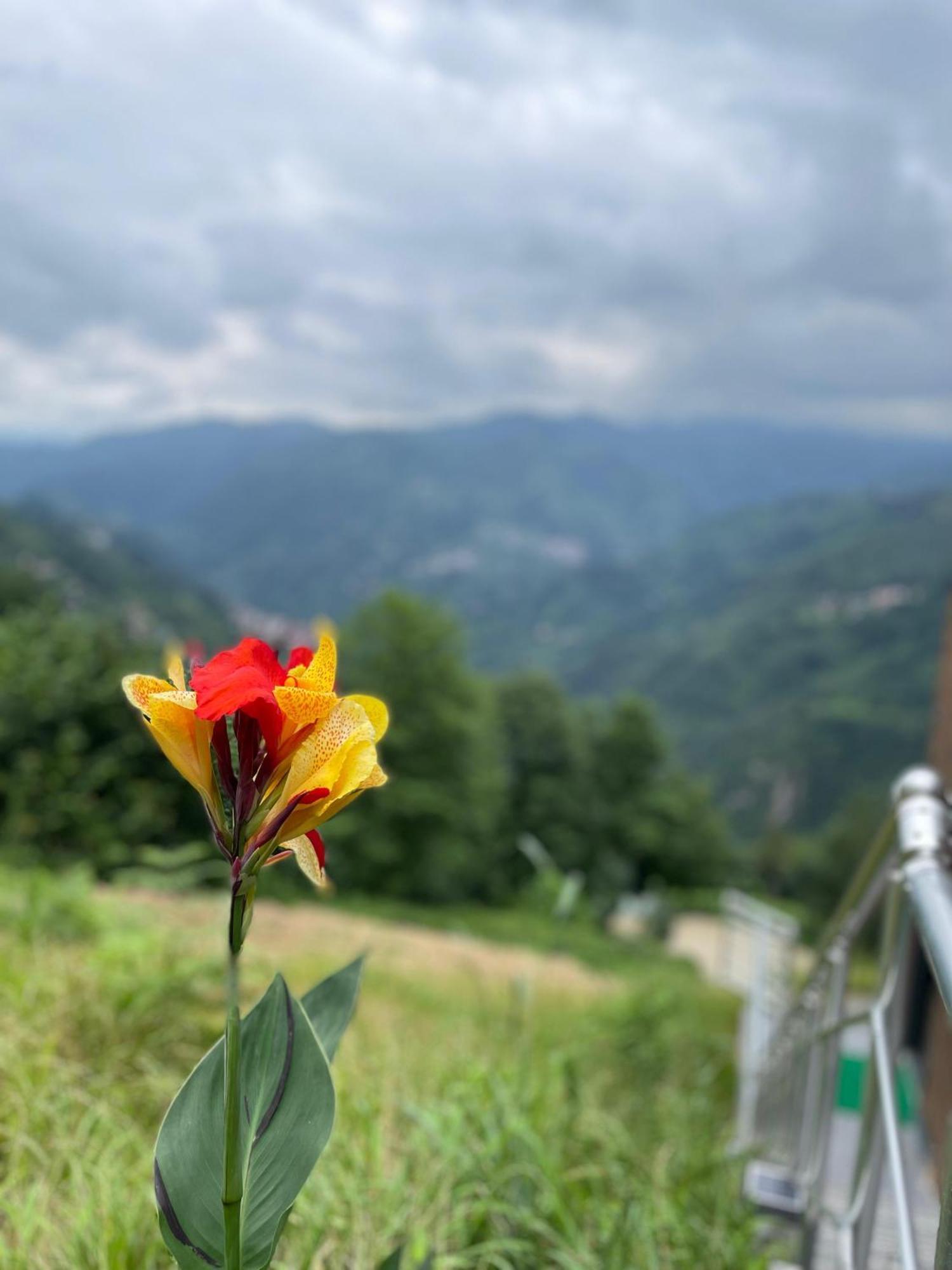 Relax Dag Evleri Rezistans Dikkaya  Kültér fotó